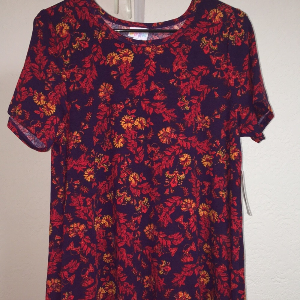 NWT LuLaRoe Carly M